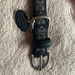 - Adorable Coach black & cream signature dog collar in excellent used cond…